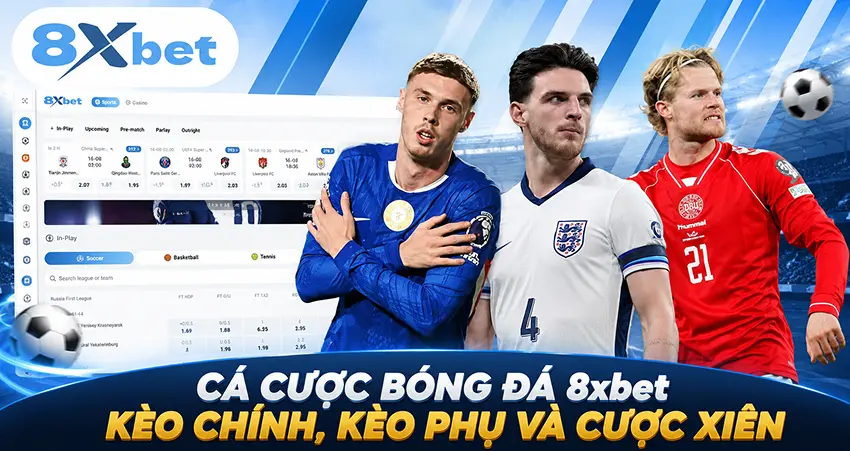 Các kiểu cược bóng đá tại 8xbet